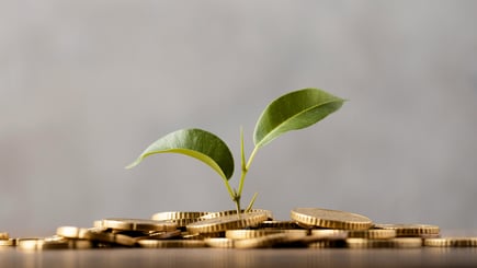 Featured image of the blog post What is an Interval Fund? Everything You Need to Know